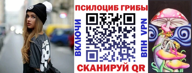 где можно купить   Ивдель  Псилоцибиновые грибы Magic Shrooms 